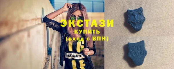 мяу мяу мука Гусь-Хрустальный