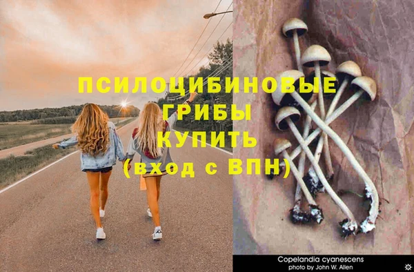 a pvp Гусев