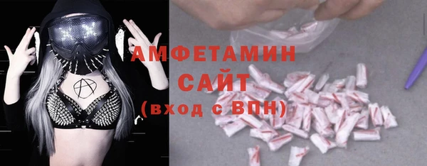 мяу мяу мука Гусь-Хрустальный