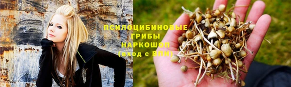 a pvp Гусев