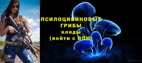 мяу мяу мука Гусь-Хрустальный
