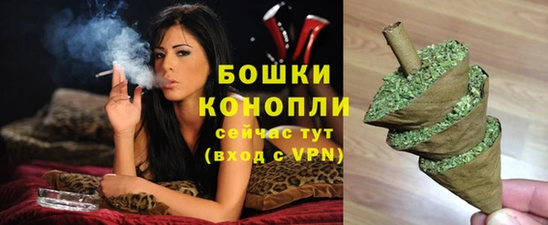 a pvp Гусев